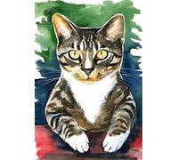DIY Oil Painting by Numbers Tabby Cat Paint by Number Kits Oil Painting Canvas for Adults and Kids Paintings for Home