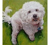 DIY Oil Painting Paint by Number Kit Bichon Frise Dog Paint by Numbers for Adults and Kids DIY Oil Painting Gift Kits Pre Printed