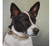 DIY Oil Painting Paint by Number Kit Jack Russell Terrier Dog Paint by Numbers for Adults and Kids DIY Oil Painting Gift Kits Pre Printed