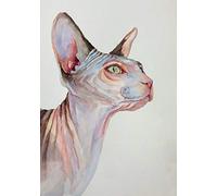 DIY Oil Painting Paint by Number Kit Sphynx Cat Paint by Numbers for Adults and Kids DIY Oil Painting Gift Kits Pre Printed