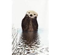 DIY Oil Painting Paint by Number Kits Painting for Adults and Kids Arts Craft for Home Wall Decor-Sea otter 40X50Cm/15.8X19.7Inch