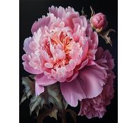 DIY Paint by Number for Adults Beginner,Peony,Flower,Blossom,Painting by Numbers Kits for Adults,Paint Kits Canvas Gifts Arts Crafts for Home Decor,40x50cm,Without Frame
