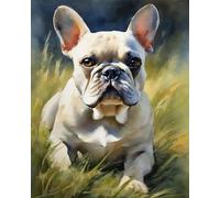 DIY Paint by Number for Adults,French Bulldog on The Grass Paint by Number Set with Professional Brushes,40x50cm,No Frame