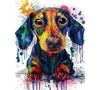 DIY Paint by Number for Adults, Paint by Number Kit on Canvas for Beginner, Watercolor Dachshund Dog Animal Color Hand Painted Toy Gift 16 x 20 Inches Without Frame