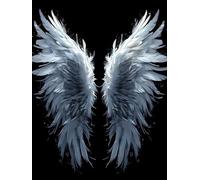 DIY Paint by Numbers Angel Wings Painting by Numbers Kits On Canvas, with Paint Brushes and Acrylic Painting Kit 50x60cm/20x24Inch for Kids and Adults Beginner Gifts, Home Decor, Frameless L-405