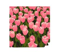 DIY Paint by Numbers Floral Oil Painting Decor Kit(0042,30 * 30cm)