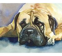 DIY Paint by Numbers for Adults Beginner Kids Bullmastiff Bull Mastiff animal dog 16x20 inch Linen Canvas Acrylic Stress Less Number Painting Gifts Bedroom living room home decoration -frameless