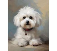 DIY Paint by Numbers for Adults Bichon Frise Dog Digital Painting by Number for Modern Wall Art Gift Home Decor 40x50cm Frameless