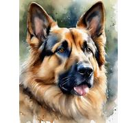 DIY Paint by Numbers for Adults Canvas Beautiful Fields,German Shepherd DIY Oil Painting, Pictures Drawing Paintwork with Paintbrushes Decoration Gift,40x50cm,No Frame