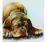 DIY Paint by Numbers for Adults Dogue de Bordeaux Bordeaux Mastiff French Mastiff Bordeauxdog Oil Painting Canvas Print Wall Art Home Decoration