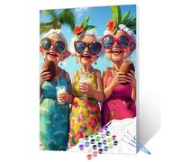 DIY Paint by Numbers for Adults Good Friends Painting Acrylic Paint DIY Digital Oil Painting Old Woman Wearing Sunglass Painting Kits Seascape Canvas Art Living Room Decor 16x20 Inch(Without Frame )