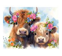 DIY Paint by Numbers for Adults, Highland Cow Canvas Oil Painting Kit