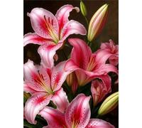 DIY Paint by Numbers for Adults Lily,Painting by Number Kits on Canvas Flower,Color by Numbers for Beginner,Gifts Decor for Home Wall Room (Red Flower)