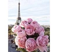 DIY Paint by Numbers for Adults,Oil Painting Kits,Craft Art Painting Kit,Acrylic Pigment Drawing Gift for Home Decor,16x20inch,Paris Pink Peony,Frameless