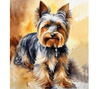DIY Paint by Numbers for Adults Yorkshire Terrier Dog Digital Painting by Number for Modern Wall Art Gift Home Decor 40x50cm Frameless