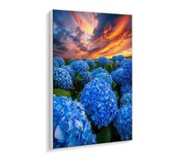 DIY Paint by Numbers Kit for Adults Beginners - Vibrant Hydrangea Canvas Oil Painting Set with Acrylic Paints & Brushes - 35 x 50 cm Unframed for Home Decor Stress Relief Gifts for Creative Fun P-730