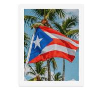 DIY Paint by Numbers Kit for Adults Puerto Rico Flags Frog Palm Trees Beginners Digital Oil Painting Kit Landscape Digital Paints by Number Easy Canvas Art Print for Home Wall Decoration 40x30cm