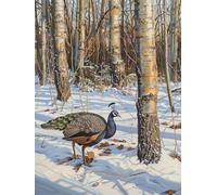 DIY Paint by Numbers Kits Peacock, Tree Paint by Numbers for Adults, Arts and Crafts for Adult Beginners Oil Paintings, DIY Painting Kits with Brushes and Acrylic for Home Wall Decor, 24x36in D-3998