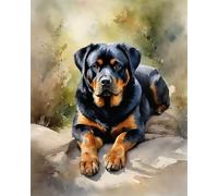 DIY Paint by Numbers on Canvas,Rottweiler on The Rocks,Experience The Beauty of Artistry at Its Finest,40x50cm Without Frame