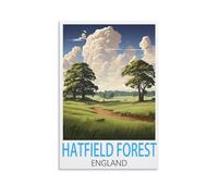 DIY Painting by Number Kits，Hatfield Forest England,Without Frame with Brushes and Acrylic Pigment Paint by Numbers Canvas Arts Crafts 50x60cm