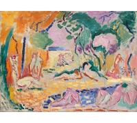 DIY Painting by Numbers for Adults The Joy of Life by Henri Matisse Adults Paint Kits Canvas Gifts Arts Crafts for Home Decor