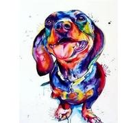 DIY Painting by Numbers Kits for Adults Beginner,40x50cm，Oil Painting for Home Wall Decoration Hand Painted Gifts,Colorful Watercolor Dog Cute Dachshund,Frameless