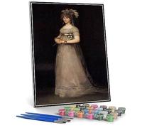 DIY Painting Kits for Adults Portrait of The Countess of chincon Painting by Francisco Goya Arts Craft for Home Wall Decor