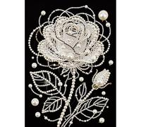 DIY Pearl Art Painting Kit, Handmade Gem Dot Picture Craft for Home Wall Decor Present Set Black Canvas 25x35CM-09-Rose