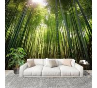 DIY Peel and Stick Mural Decoration Wall Covering Tranquility Bamboo Forest Sunlight Waterproof Antifouling Removable Photo Wallpaper 250x175 cm Green Panoramic Wallpaper Gift Wall Stickers