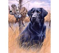DIY Pigment by Numbers Canvas Oil Painting Kit for Adults,Black Labrador On The Grass and Two Ducks On The Tree Acrylic Paint by Numbers Drawing Paint Home Wall Decor Arts Craft Gift 16x20 inch