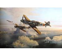 DIY Pigment by Numbers Canvas Oil Painting Kit for Adults,German Military Aircraft of World War II Acrylic Paint by Numbers Drawing Paint Brushes Home Wall Decor Arts Craft Gift 16x20 inch