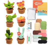 DIY Plant Pot Crochet Kits, 6pcs Crochet Kit for Beginners, Cactus Kit, Crochet Starter Kit Fleshiness with Instructions and Video Tutorials, Cactus Bouquet Potted