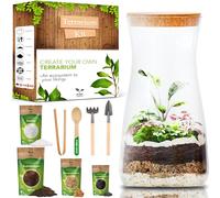 DIY Terrarium Kit for Plants - Starter Set for Garden in Bottle - Self Sustaining Ecosystem - Plant Terrarium Kit with Jar, Moss, Soil, Activated Charcoal, Stones and Tools (Set with Jar)