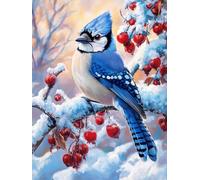 DIY The Blue Jay Stamped Cross Stitch Kits for Beginners Adults - Preprinted 11CT Easy Pattern Needlepoint Kits, Arts and Crafts for Home Decor (11.8x15.7inch) 85