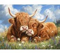 DIY Two Highland Cows Stamped Cross Stitch Kits for Beginners Adults - Preprinted 11CT Easy Pattern Needlepoint Kits, Arts and Crafts for Home Decor (11.8x15.7inch) 377
