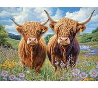 DIY Two Highland Cows Stamped Cross Stitch Kits for Beginners Adults - Preprinted 11CT Easy Pattern Needlepoint Kits, Arts and Crafts for Home Decor (11.8x15.7inch) 67