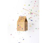 DIY VOIE LACTÉE lantern + LED FOLIA multicoloured