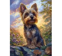 DIY Yorkshire Terrier Stamped Cross Stitch Kits for Beginners Adults - Preprinted 11CT Easy Pattern Needlepoint Kits, Arts and Crafts for Home Decor (11.8x15.7inch) 711