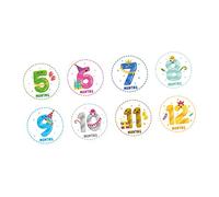 DIYEAH 12pcs Baby Monthly Milestone Stickers for Newborns Creative Milestone Cards for Infants Adorable Growth Tracking Stickers Colorful Designs for Boys and Girls