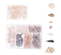 DIYEAH 2 Boxes Natural Seashells for Crafting Small Trinkets DIY Handicraft Accessories Home Decor Fish Tank Safe Nautical Decorations with Luster