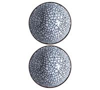 DIYEAH 2pcs Cracked Style Ceramic Dinner Bowls Japanese Serving Set