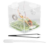DIYEAH 3 Pcs PET Breeding Box Spider Breeding Box Portable Easy to Maintain Acrylic 2.04X2.04X2.04In Creative Practical Terrarium for Insects and Spiders