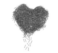 DIYEAH 304 Stainless Steel Masonry Nails 15mm Round Head Concrete Nails for Wall Cement Fixing 2000pcs for Wood and Construction Use