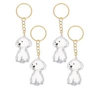DIYEAH 4pcs Pet Hair Souvenir Box Capsule Dog Hair Storage Keychain Unique Pet Memorial Keepsake Pendant for Bags Keys