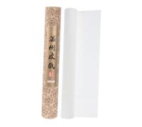 DIYEAH Art and Calligraphy Paper Roll 46cm x 2500cm B Grade White Parchment Thin and Tough Strong Tension Suitable for Professional or Practice Use