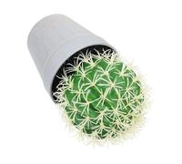 DIYEAH Faux Cactus Bonsai Simulation Potted Plant Mini Artificial Succulent Plastic Home Décor Indoor Garden Ornament for Desk and Shelf Random Color