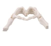 DIYEAH Gothic Skeleton Heart Hands Ornament Resin Matte Finish for Dorms