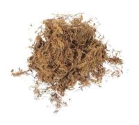 DIYEAH Immortal Flower Moss for Dollhouse Decor - Miniature Artificial Moss Plants for Microlandscape Decoration