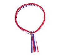 DIYEAH Polyester Graduation Ribbon Leis Necklace Braided for High School College Master Doctoral Graduates Fade Resistant Smooth Comfortable Soft Design for Graduation Party Supplies