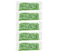 DIYEAH Polymer Clay Fruit Nail Art Patches 5pcs, 10g DIY Fingernail Decoration for Manicure and Phone Shell Embellishment, Creative Nail Art Accessory for Salon and Home Use